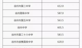 徐州医药分院2019分数线